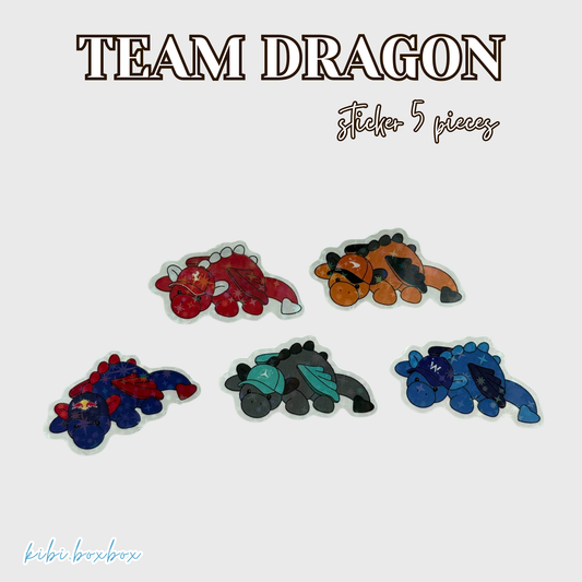 Team Dragon Sticker